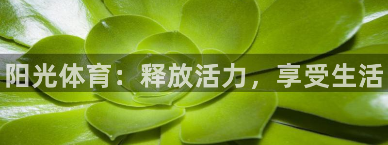 米兰体育官网下载招商电话号码是多少:阳光体育:释放活力,享受