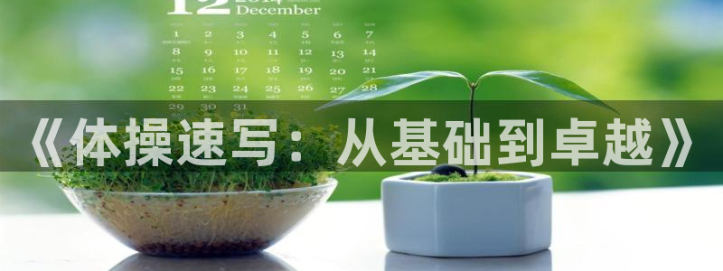 米兰体育官方正版app五金厂:《体操速写:从基础到卓越》